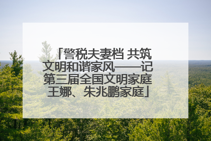 警税夫妻档 共筑文明和谐家风——记第三届全国文明家庭王娜、朱兆鹏家庭