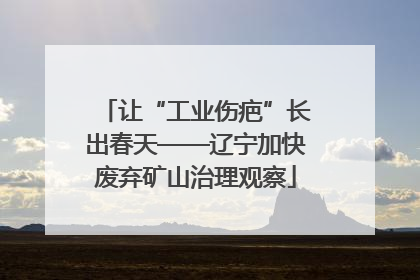让“工业伤疤”长出春天——辽宁加快废弃矿山治理观察
