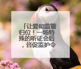 让爱和监管归位！一场特殊的听证会后，督促监护令和家庭教育指导方案同时送达