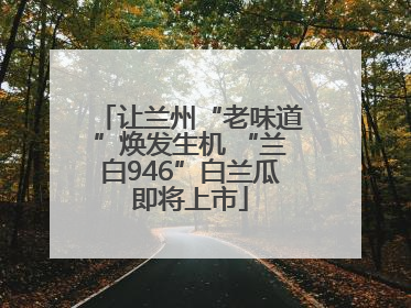 让兰州“老味道”焕发生机 “兰白946”白兰瓜即将上市