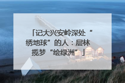 记大兴安岭深处“绣地球”的人：层林揽梦“绘绿洲”