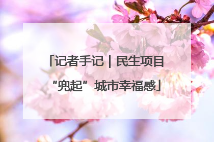 记者手记｜民生项目“兜起”城市幸福感