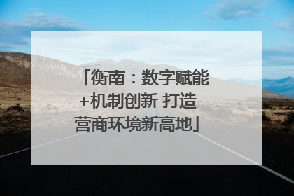 衡南：数字赋能+机制创新 打造营商环境新高地