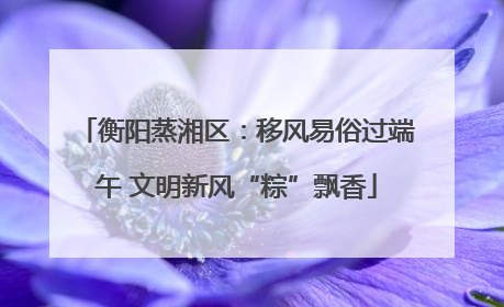 衡阳蒸湘区：移风易俗过端午 文明新风“粽”飘香
