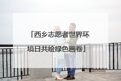 西乡志愿者世界环境日共绘绿色画卷