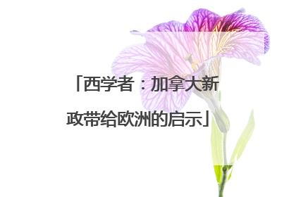 西学者：加拿大新政带给欧洲的启示
