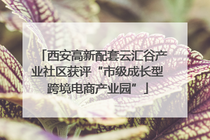 西安高新配套云汇谷产业社区获评“市级成长型跨境电商产业园”