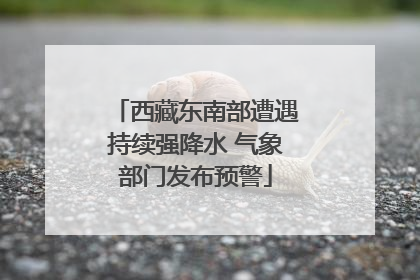 西藏东南部遭遇持续强降水 气象部门发布预警