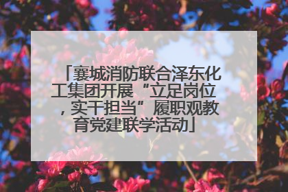 襄城消防联合泽东化工集团开展“立足岗位，实干担当”履职观教育党建联学活动