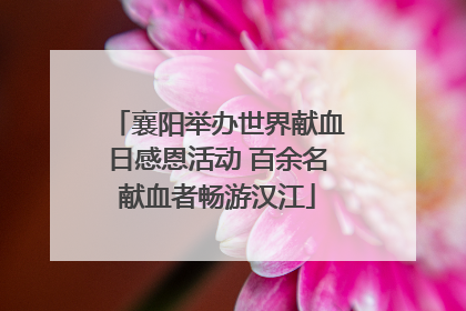 襄阳举办世界献血日感恩活动 百余名献血者畅游汉江