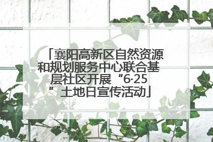襄阳高新区自然资源和规划服务中心联合基层社区开展“6·25”土地日宣传活动