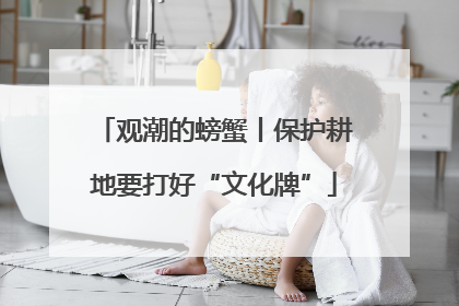 观潮的螃蟹丨保护耕地要打好“文化牌”