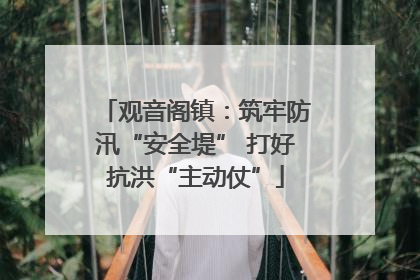 观音阁镇：筑牢防汛“安全堤” 打好抗洪“主动仗”