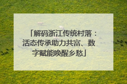 解码浙江传统村落：活态传承助力共富、数字赋能唤醒乡愁