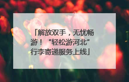 解放双手，无忧畅游！“轻松游河北”行李寄递服务上线
