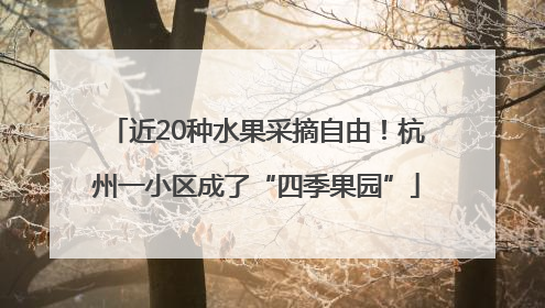 近20种水果采摘自由！杭州一小区成了“四季果园”