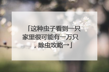 这种虫子看到一只家里很可能有一万只，除虫攻略→