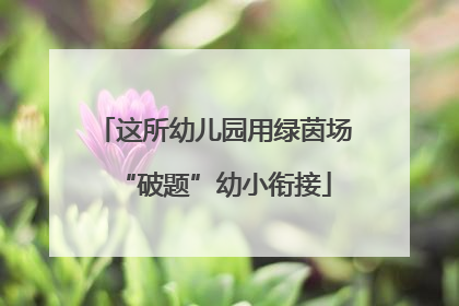 这所幼儿园用绿茵场“破题”幼小衔接