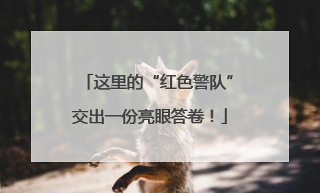 这里的“红色警队”交出一份亮眼答卷！