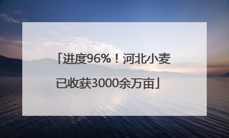 进度96%！河北小麦已收获3000余万亩