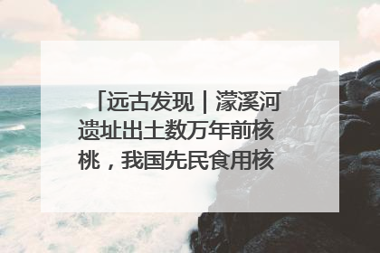 远古发现｜濛溪河遗址出土数万年前核桃，我国先民食用核桃历史大幅提前