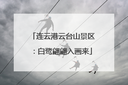 连云港云台山景区：白鹭翩翩入画来