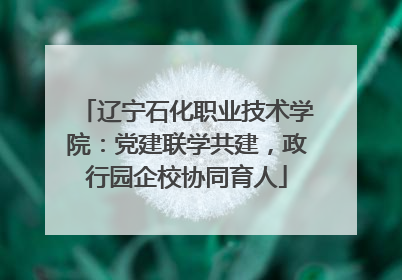 辽宁石化职业技术学院：党建联学共建，政行园企校协同育人