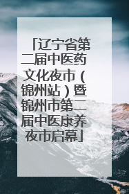 辽宁省第二届中医药文化夜市（锦州站）暨锦州市第二届中医康养夜市启幕