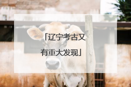 辽宁考古又有重大发现