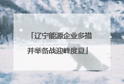 辽宁能源企业多措并举备战迎峰度夏