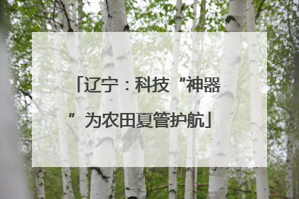 辽宁：科技“神器”为农田夏管护航