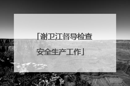谢卫江督导检查安全生产工作