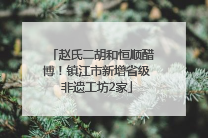 赵氏二胡和恒顺醋博！镇江市新增省级非遗工坊2家