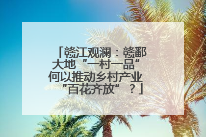 赣江观澜：赣鄱大地“一村一品”何以推动乡村产业“百花齐放”？