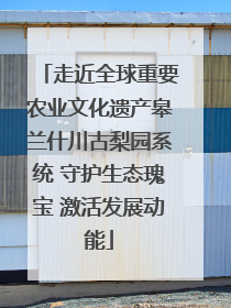 走近全球重要农业文化遗产皋兰什川古梨园系统 守护生态瑰宝 激活发展动能