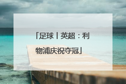 足球丨英超：利物浦庆祝夺冠