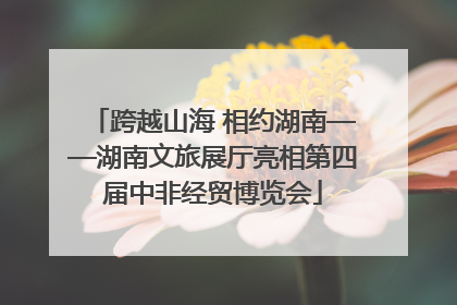 跨越山海 相约湖南——湖南文旅展厅亮相第四届中非经贸博览会