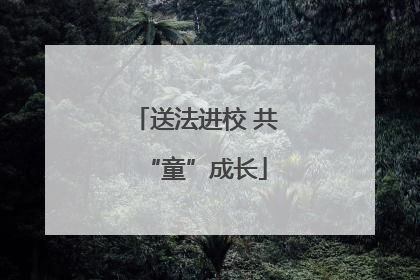 送法进校 共“童”成长