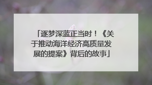 逐梦深蓝正当时！《关于推动海洋经济高质量发展的提案》背后的故事