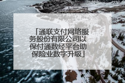 通联支付网络服务股份有限公司以保付通数经平台助保险业数字升级