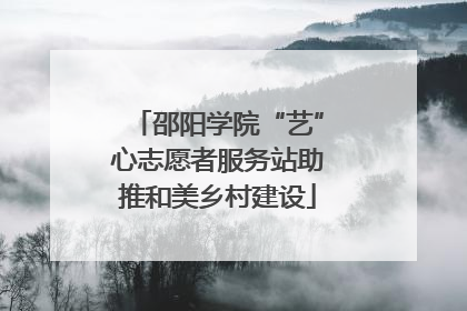 邵阳学院“艺”心志愿者服务站助推和美乡村建设