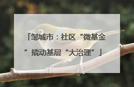 邹城市：社区“微基金”撬动基层“大治理”