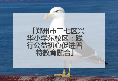 郑州市二七区兴华小学东校区：践行公益初心促进普特教育融合