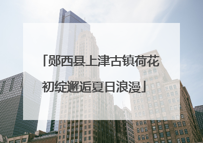 郧西县上津古镇荷花初绽邂逅夏日浪漫