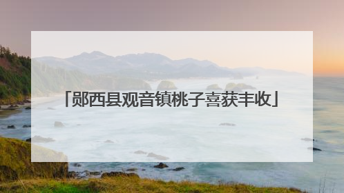 郧西县观音镇桃子喜获丰收