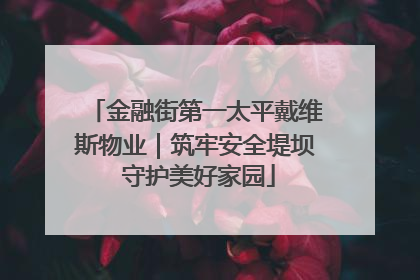 金融街第一太平戴维斯物业｜筑牢安全堤坝 守护美好家园