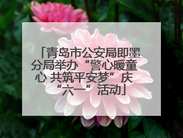 青岛市公安局即墨分局举办“警心暖童心 共筑平安梦”庆“六一”活动