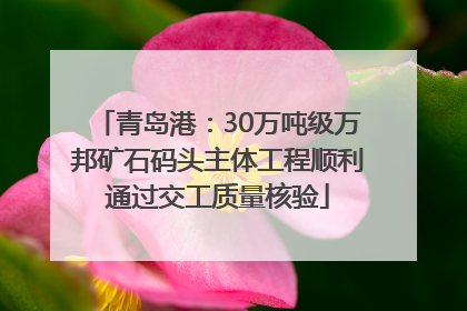 青岛港：30万吨级万邦矿石码头主体工程顺利通过交工质量核验