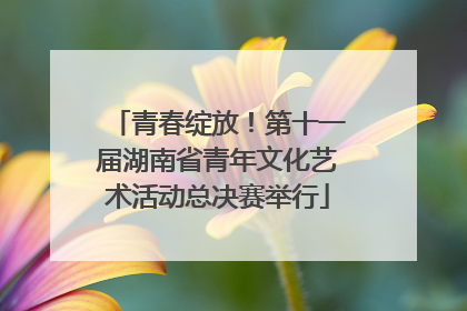 青春绽放！第十一届湖南省青年文化艺术活动总决赛举行