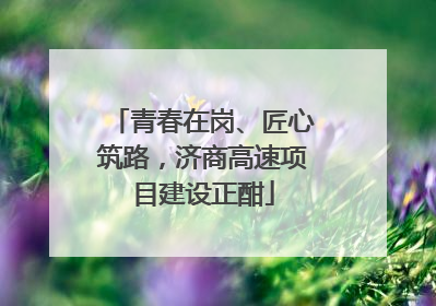 青春在岗、匠心筑路，济商高速项目建设正酣